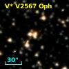 V* V2567 Oph