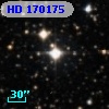 HD 170175
