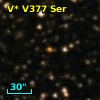 V* V377 Ser