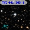 TYC  441-203-1