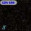 LDN  600