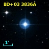 BD+03  3836A