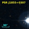 PSR J1855+0307
