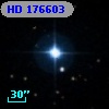 HD 176603