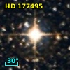 HD 177495