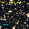 V* V1562 Aql