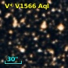 V* V1566 Aql