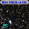IRAS 19026+0336