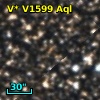 V* V1599 Aql