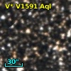 V* V1591 Aql