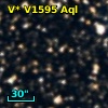 V* V1595 Aql