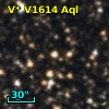 V* V1614 Aql