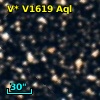 V* V1619 Aql