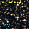 V* V1623 Aql