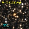 V* V1115 Aql
