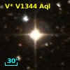 V* V1344 Aql