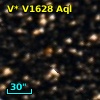 V* V1628 Aql