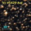 V* V1629 Aql