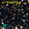 V* V1607 Aql