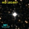 HD 181607
