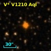 V* V1210 Aql