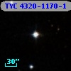 TYC 4320-1170-1