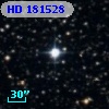 HD 181528