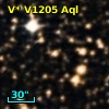 V* V1205 Aql