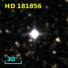 HD 181856