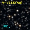 V* V1133 Aql