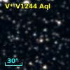 V* V1244 Aql