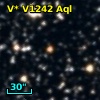 V* V1242 Aql