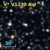 V* V1230 Aql