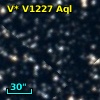 V* V1227 Aql