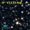 V* V1131 Aql