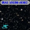IRAS 19190+0302
