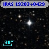 IRAS 19203+0429