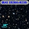 IRAS 19204+0239