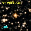 V* V855 Aql