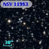 NSV 11983