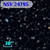 NSV 24785