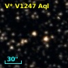 V* V1247 Aql