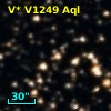V* V1249 Aql