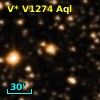 V* V1274 Aql
