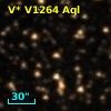 V* V1264 Aql