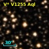 V* V1255 Aql
