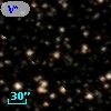 V* V981 Aql