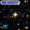 HD 185877