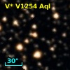 V* V1254 Aql