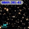 HBHA  205-01